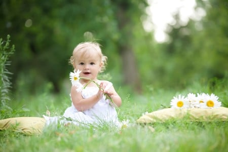 Bébé assis sur l'herbe en été et jouant avec une fleur