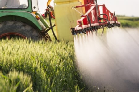 Pulvérisation par un tracteur de pesticides dans un champs de blé