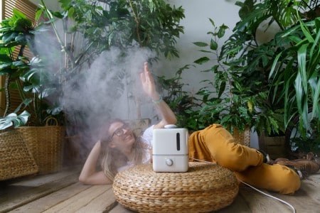 humidificateur avec des plantes à la maison sur la table dans la