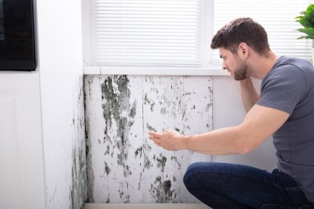 Homme observe des traces de moisissures recouvrant un mur blanc